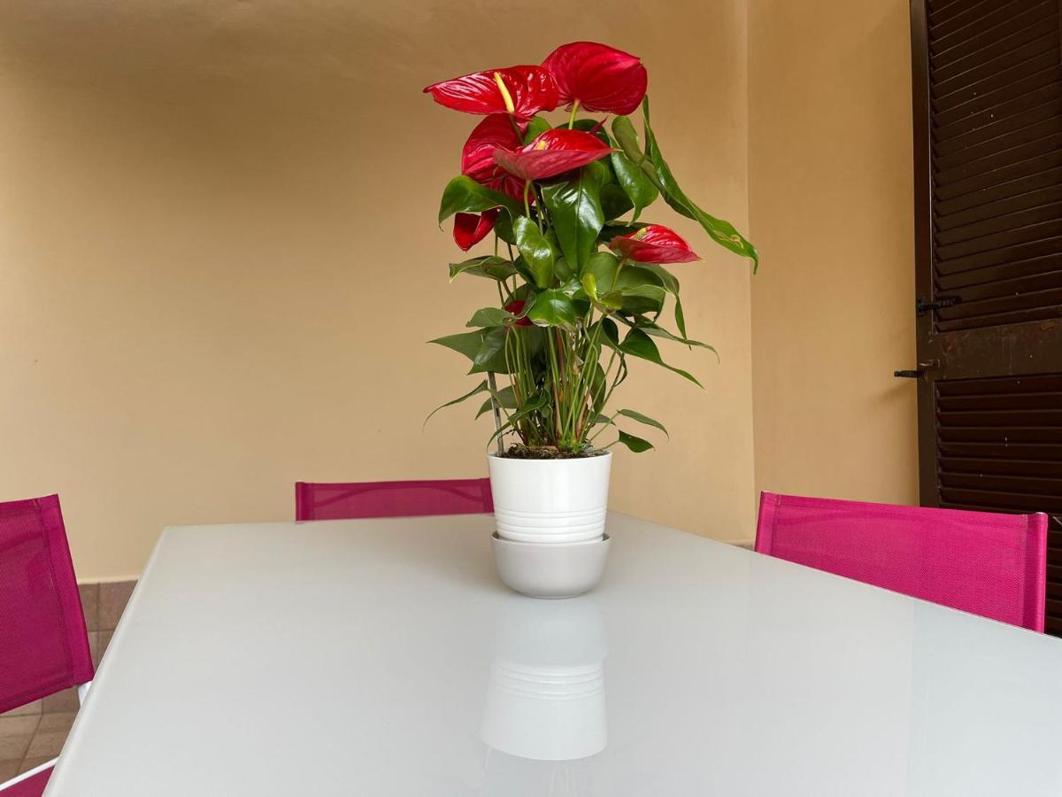 Flowers In Rome Buitenkant foto